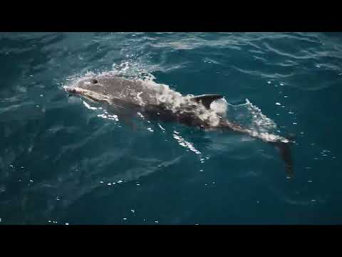 Galápagos Ecuador