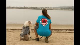 Wildflowers | Alex Woodard | TEDxVail