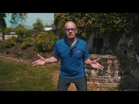 Live ab 6 /// Was bewegt Dich? - erweiterter Gorilla