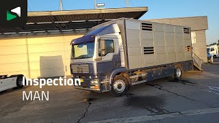 MAN TGM 18.240 N18 4X2 NL-Truck 2 decks cattle transport Manual Euro el&auml;inkuljetusauto | Kuva 4 - Autoline