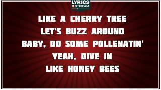 Pickin Wildflowers - Keith Anderson tribute - Lyrics