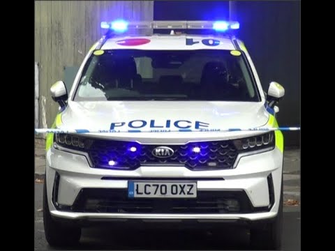 JUDGE RINDER'S Crime Stories   The Care Helper