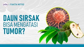 Download lagu Cek Fakta Manfaat Daun Sirsak, Bisa Untuk Tumor? | Hidup Sehat tvOne mp3