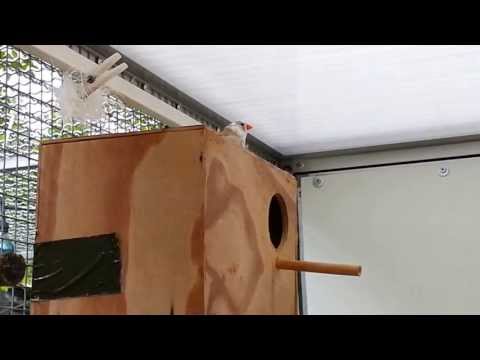 Neue Bewohner eingetroffen