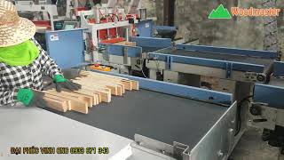 Vận hành thực tế Dây chuyền Ghép Thanh WM-IAT-620 Woodmaster