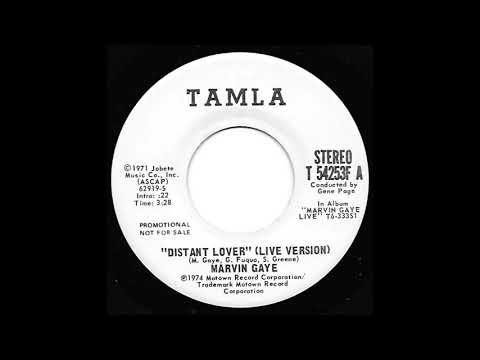 Marvin Gaye - Distant Lover (Live) Promo