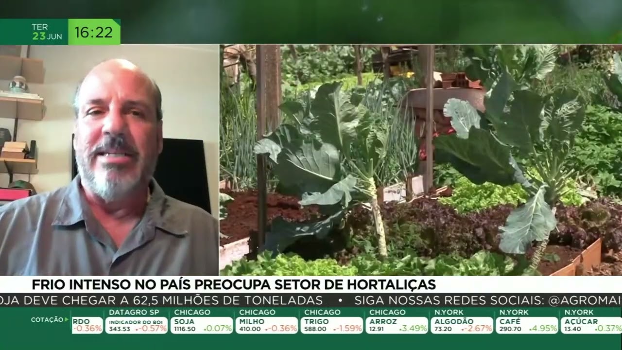Frio intenso no país preocupa setor de hortaliças