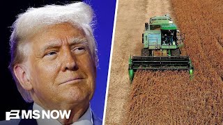 Fox poll shows Trump approval down with rural voters