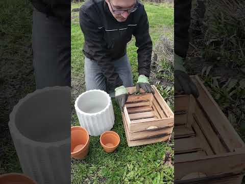 Mini Steilwand als Wildbienen Nisthilfe selber bauen - Gartenexpedition #naturgarten #shorts