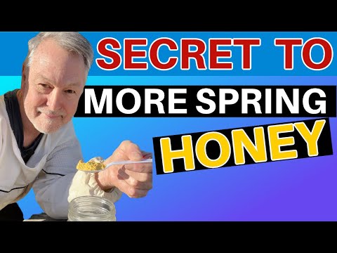 Beekeeping's Shocking Strategy For Spring Honey Production