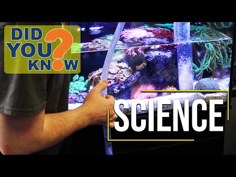 Are Water Changes Worth It? 17 Tips That Prove They Are!
