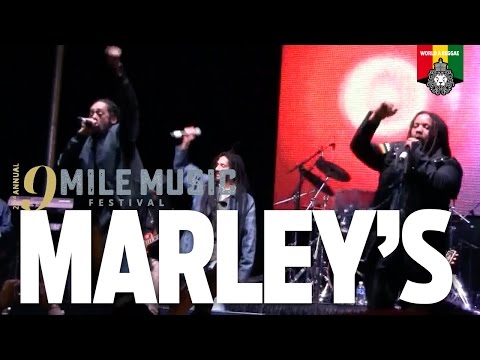 Stephen, Damian, Julian & Skip Marley Live at 9 Mile Music Festival 2016