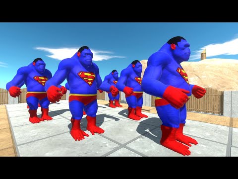 Superman GORO King Kong Dc Marvel Speed Race Championship Hunting Found Animal Revolt Battle