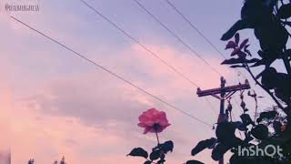 Barfuß am Klavier - AnnenMayKantereit -lyrics