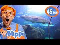 Blippi Sees A Shark At The AQUARIUM Blippi Meekah Challenges And Games For Kids