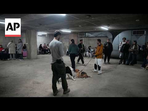 Video Thumbnail: 'I'm sure we're going to win': Israel residents seek shelter after strikes on Iran