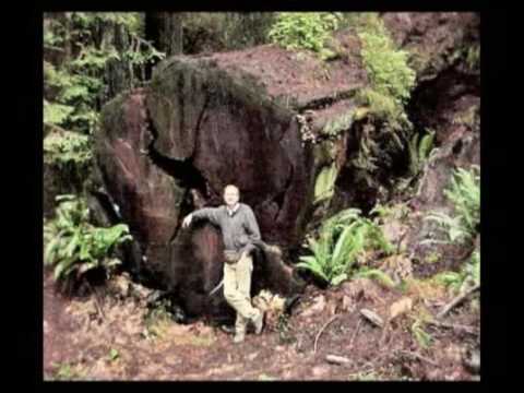 Kreation Evolution 03 Fossilien wie sie entstanden 7/7