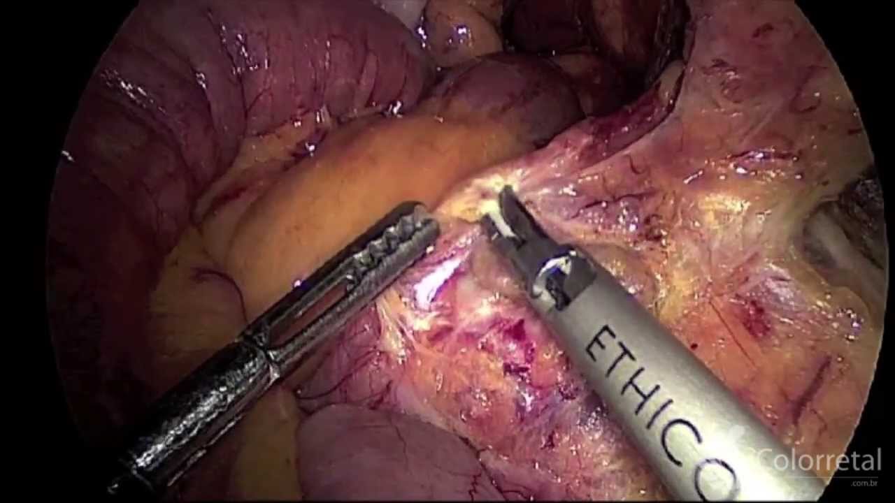 Eduardo Rodrigues Zarco Da Câmara-24