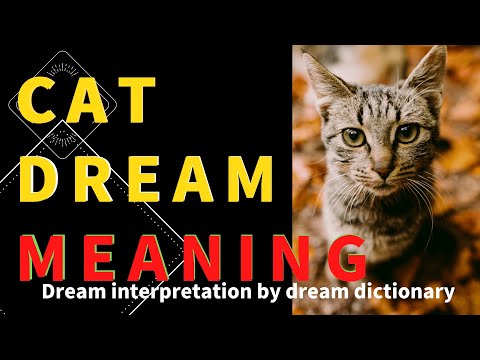 Decoding the Meaning of Cat Dreams: Understanding the Symbolism and Interpretation