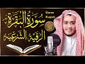 سورة البقرة القارئ علاء عقل - تلاوة خاشعة - Surah Al Baqarah Alaa Akl @tilawah-qurankar