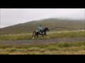 Sif Reitvideo