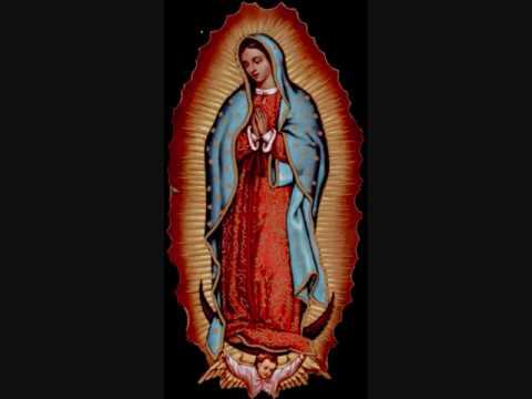 una espiga dorada por el sol cantos religiosos catolicos