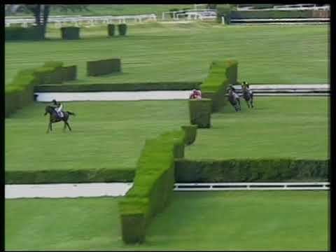 2.a  corsa  Pr. Raffaele Ammirato  27 07 2019