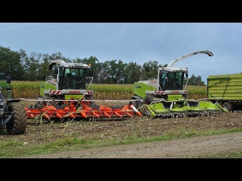 2 x Claas Jaguar 900 bei der Maisernte