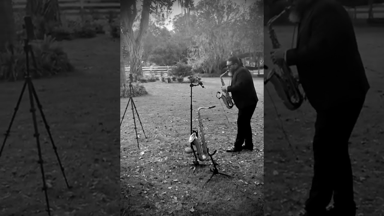 Promotional video thumbnail 1 for Aramsax