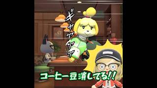 しずえのドリフト暴走記 #あつ森 #animalcrossing #あつまれどうぶつの森