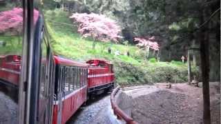 preview picture of video 'Alishan mountain railway (2012/3/11)'