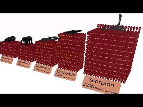 Qual è l'animale più mortale al mondo? La classifica provocatoria che spiazza