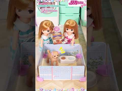 【クリスマス】サンタさんにお願いしたいプレゼント🎁✨３選❣️ #shorts