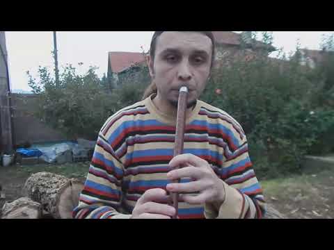 Aleksandar Kulić - Kolo na duduku (VlaškiMelos)