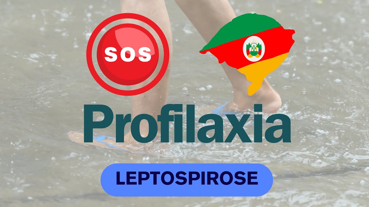 Como evitar a LEPTOSPIROSE? - Renato Cassol Médico Infectologista