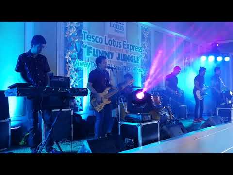 Shape of you (cover) By Vitamin Z.