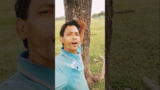 Download lagu Tune Bechen kitina, Nagina #bollywood #reels #love #movie #funny #nagina @arshadreelofficial mp3 Download lagu Tune Bechen kitina, Nagina #bollywood #reels #love #movie #funny #nagina @arshadreelofficial mp3