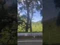 New Nature Ooty Latest Greenery Tamilnadu Studywithpriyat Beautyofnaturr