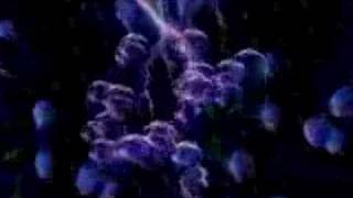 Port in a Storm by The Quietmen