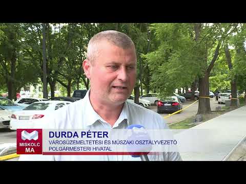 Videó előnézet