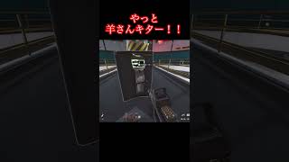 やっと羊さんキター！【デルタフォース】
