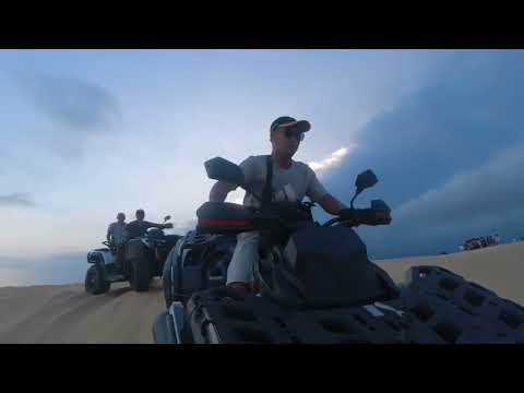 ODES 650CC - Bàu trắng
