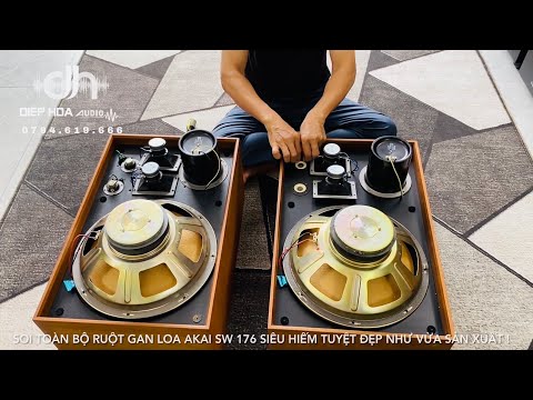 🔊 SOI TOÀN BỘ RUỘT GAN LOA AKAI SW-176 SIÊU HIẾM TUYỆT ĐẸP NHƯ VỪA SẢN XUẤT ! 🔊