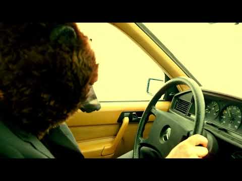 g.rag/zelig implosion deluxxe: zeiteis