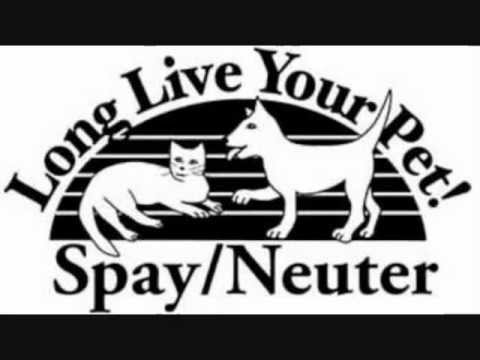 Spay Your Pets