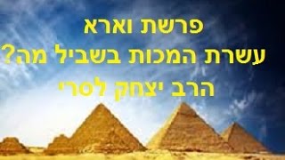 פרשת וארא – עשרת המכות בשביל מה?