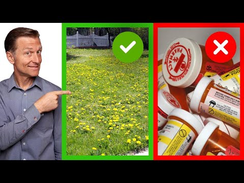 Forget the Coffee Do Wheat Grass Juice for ENERGY