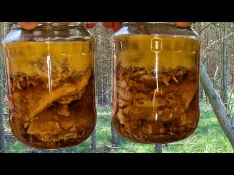 Żeberka Pieczone w Galaretce. Słoikówka - Praktyka u Praktyka