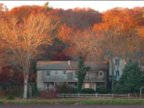 HARD WOMAN VERSION ANTIGUA