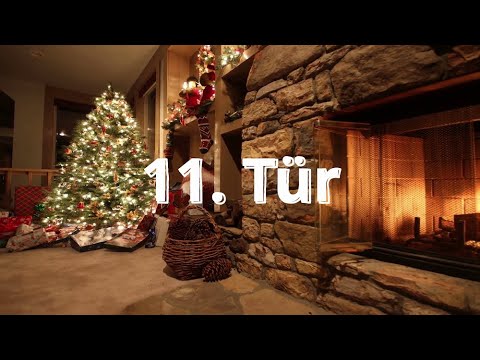 11 Tag Adventskalender: Wie viele Katzen gibt es in Deutschland?